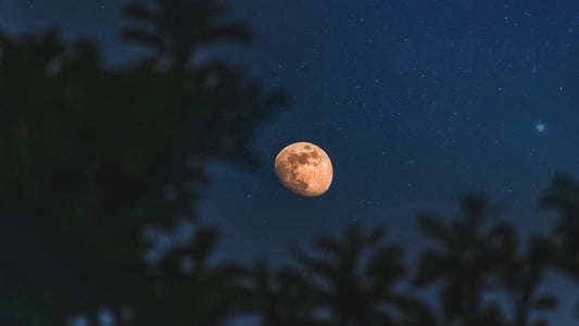 How Drones Are Transforming the Face of Rescue Missions – A Kent Story - Dronefly