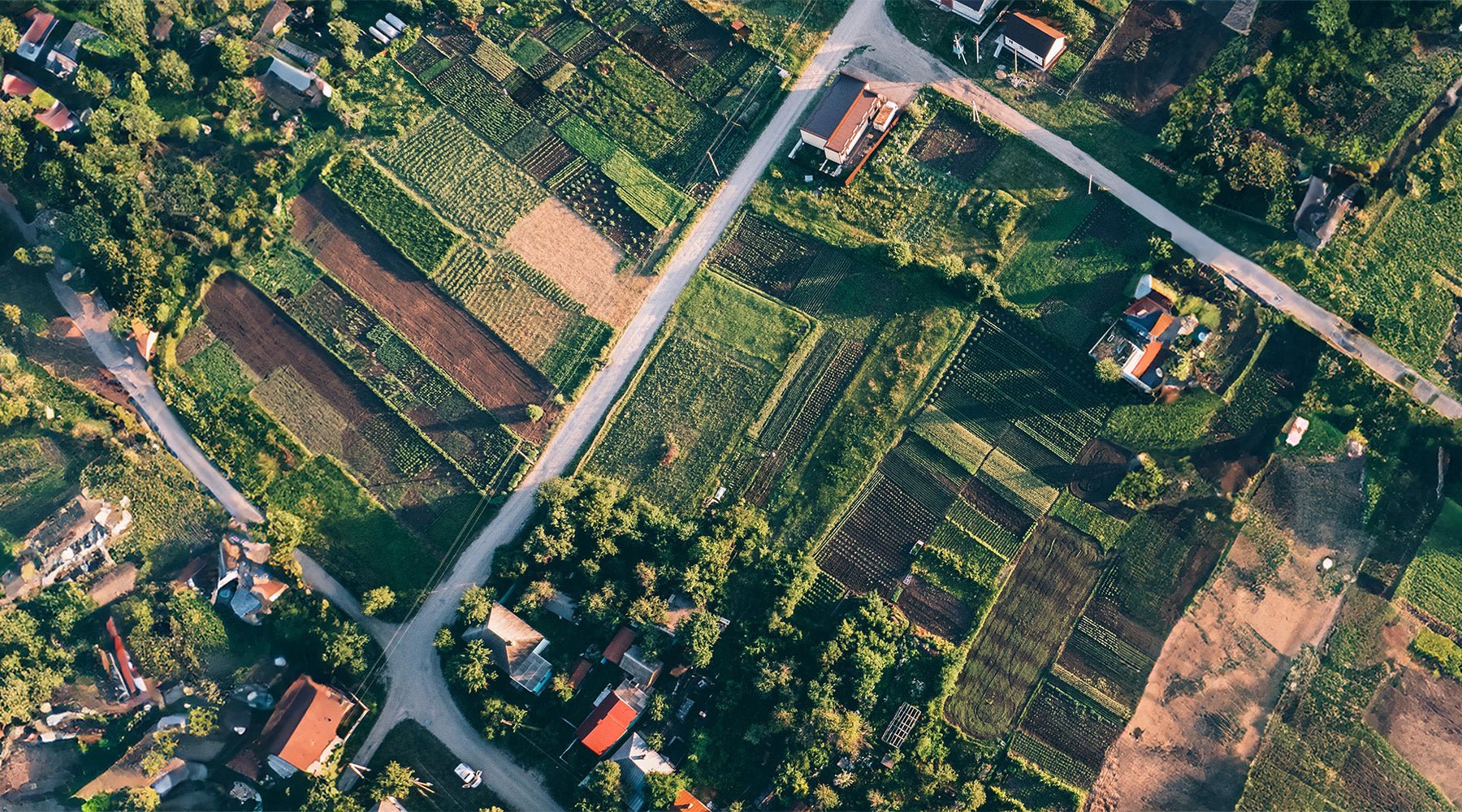 [Category] Optical / Zoom - Dronefly